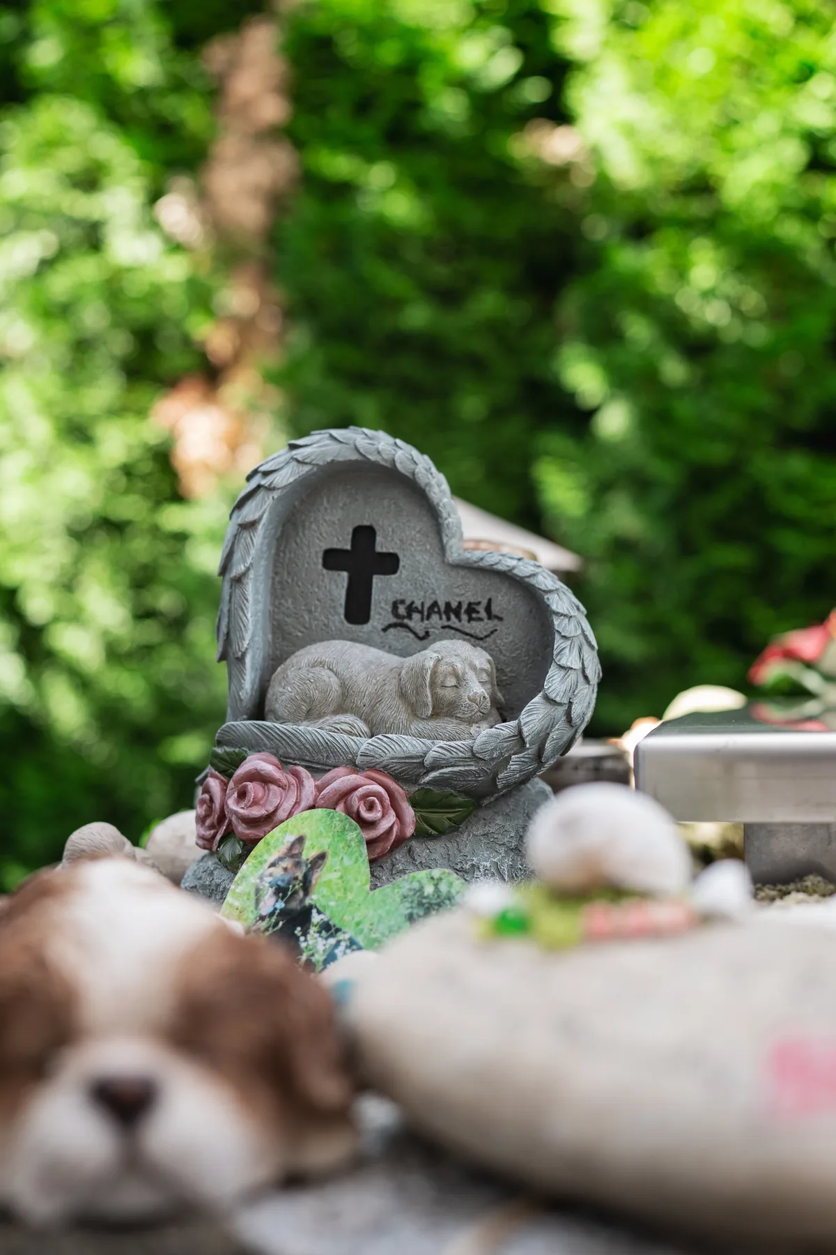 Tag der offenen Tür im Tierkrematorium Rosengarten